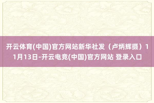 开云体育(中国)官方网站新华社发（卢炳辉摄）　　11月13日-开云电竞(中国)官方网站 登录入口