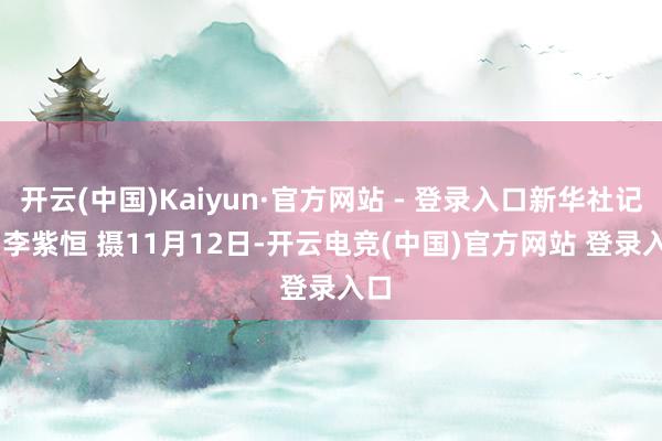 开云(中国)Kaiyun·官方网站 - 登录入口新华社记者 李紫恒 摄　　11月12日-开云电竞(中国)官方网站 登录入口