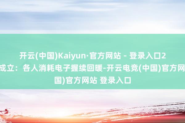 开云(中国)Kaiyun·官方网站 - 登录入口2）消耗电子成立：各人消耗电子握续回暖-开云电竞(中国)官方网站 登录入口