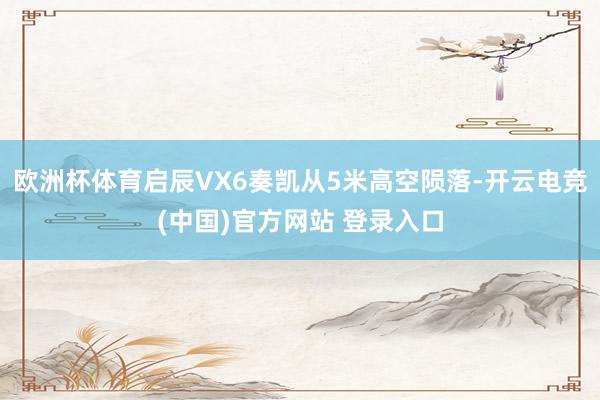欧洲杯体育启辰VX6奏凯从5米高空陨落-开云电竞(中国)官方网站 登录入口