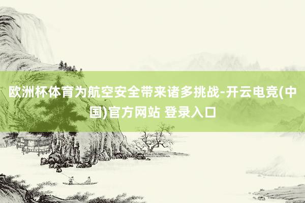 欧洲杯体育为航空安全带来诸多挑战-开云电竞(中国)官方网站 登录入口
