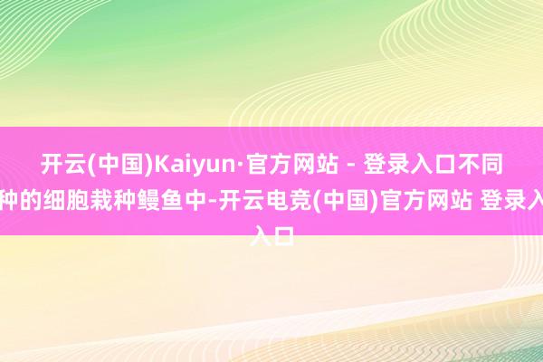 开云(中国)Kaiyun·官方网站 - 登录入口不同品种的细胞栽种鳗鱼中-开云电竞(中国)官方网站 登录入口