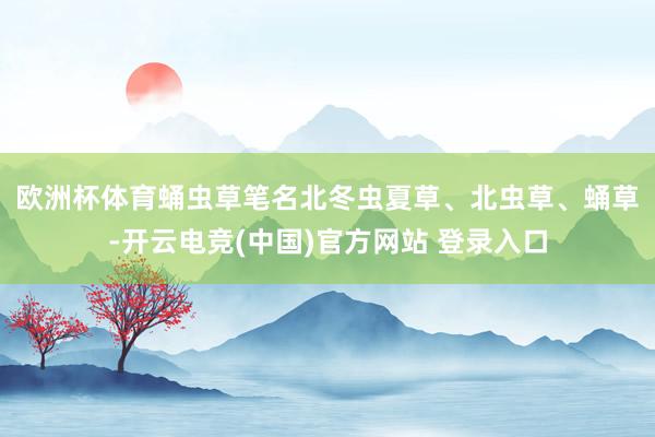 欧洲杯体育　　蛹虫草笔名北冬虫夏草、北虫草、蛹草-开云电竞(中国)官方网站 登录入口